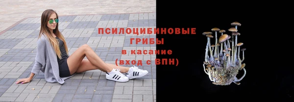 индика Володарск
