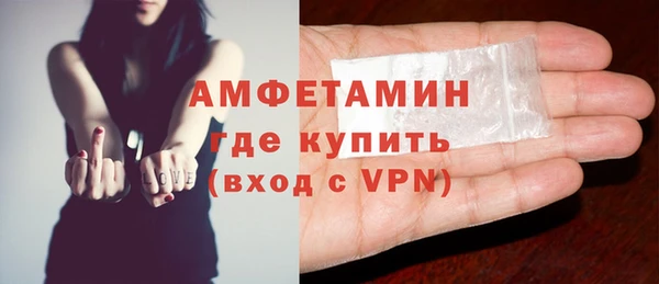 индика Володарск