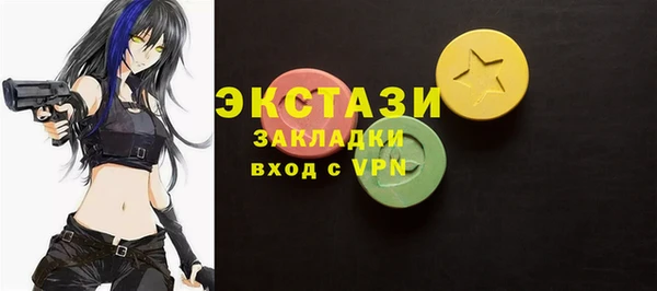 индика Володарск