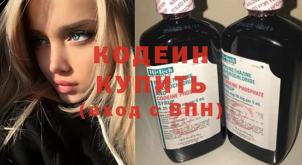 индика Володарск