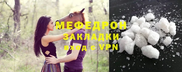 индика Володарск
