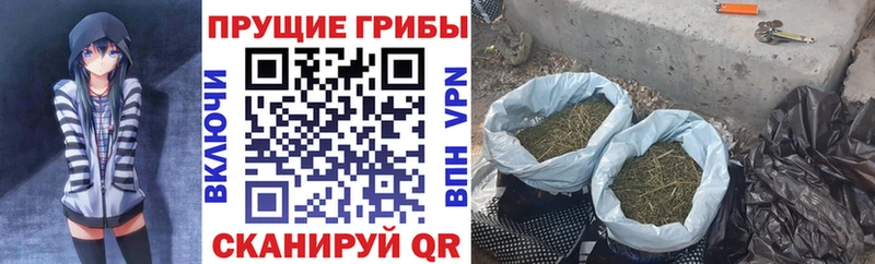 купить наркоту  Верхняя Салда  Псилоцибиновые грибы GOLDEN TEACHER 